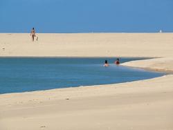 Área para Venda em Cascavel - 4
