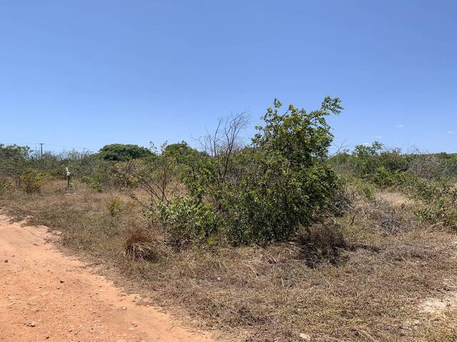 Casa para Venda em Cascavel - 4