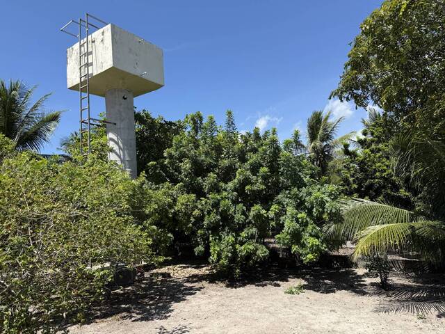 Casa para Venda em Cascavel - 5